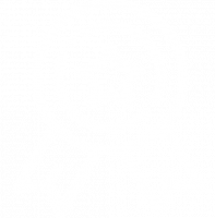 medalw.png